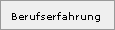 Berufserfahrung